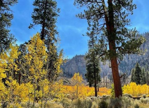 Tiny photo for 4187 Matterhorn Way, Mount Charleston, NV 89124 (MLS # 2789180)