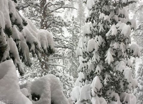 Tiny photo for 4187 Matterhorn Way, Mount Charleston, NV 89124 (MLS # 2789180)