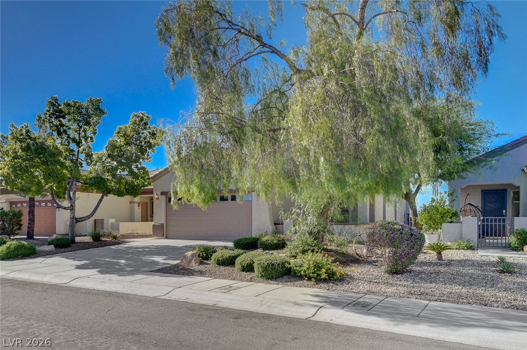 2530 Libretto Avenue