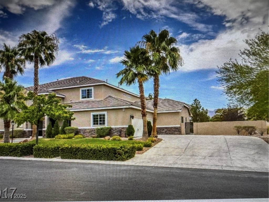 7360 Bachelors Button Drive