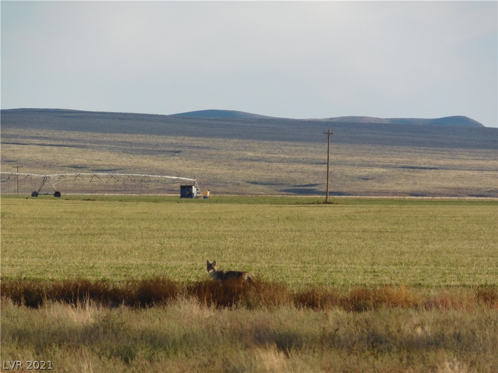 Penoyer Farm Rd Block 2 Lot 4, Alamo, Nevada image 1