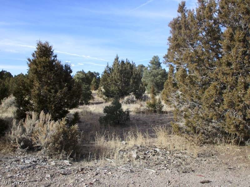 NV Hwy 322 (13.753 Ac)