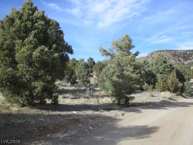 NV Hwy 322 (13.753 Ac)