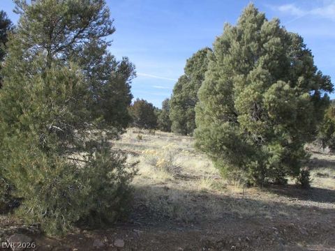 NV Hwy 322 (13.753 Ac) Pioche NV 89043