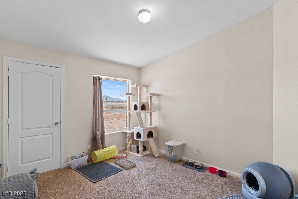 1300 Georgene Street, Pahrump, Nevada image 32