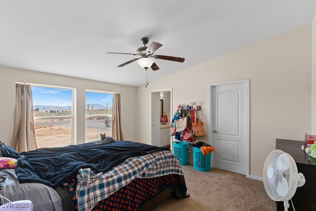 1300 Georgene Street, Pahrump, Nevada image 20