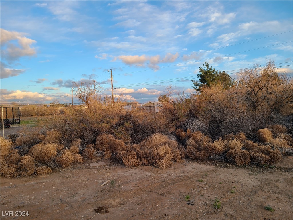 441 Arapahoe Street, Pahrump, Nevada image 8