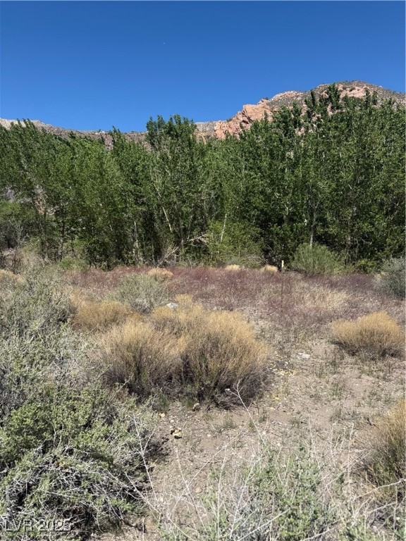 Carp Road, Caliente, Nevada image 27
