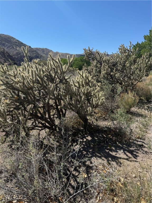 Carp Road, Caliente, Nevada image 33
