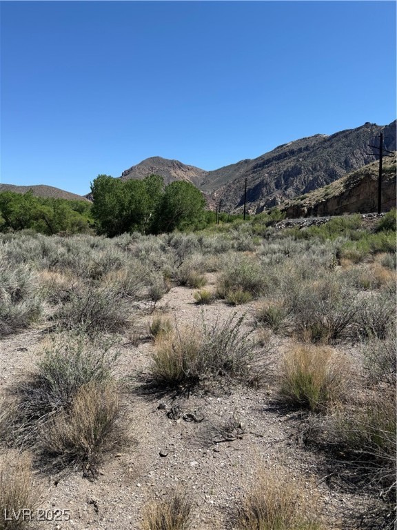 Carp Road, Caliente, Nevada image 21