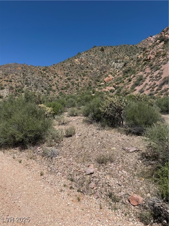 Carp Road, Caliente, Nevada image 11