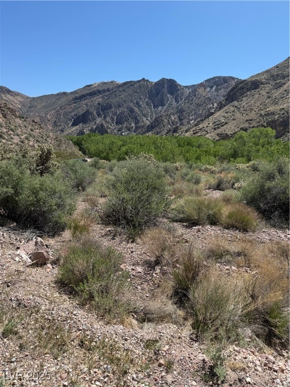 Carp Road, Caliente, Nevada image 14