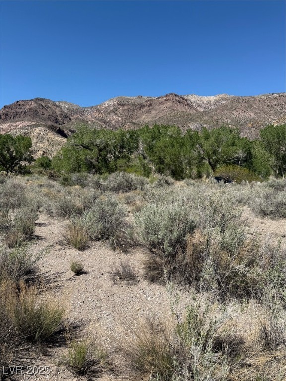 Carp Road, Caliente, Nevada image 25