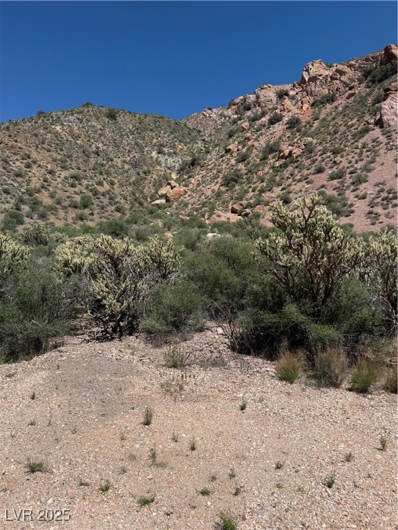 Carp Road, Caliente, Nevada image 13