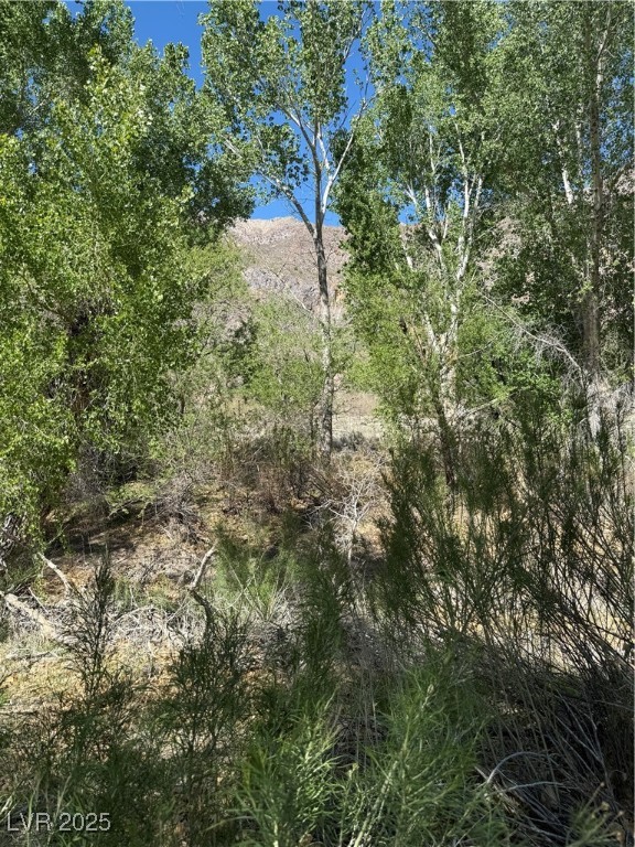 Carp Road, Caliente, Nevada image 31