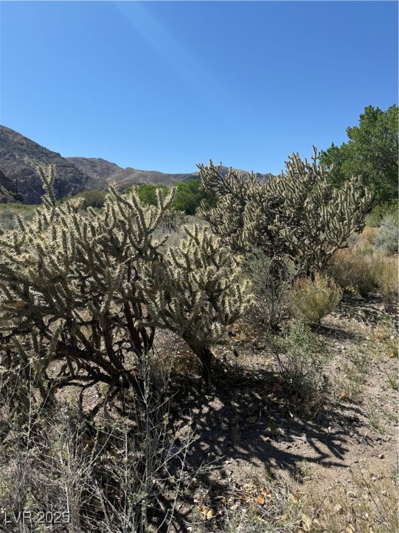Carp Road, Caliente, Nevada image 32