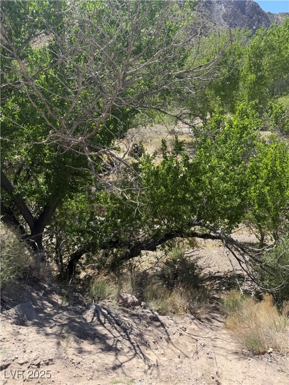 Carp Road, Caliente, Nevada image 7