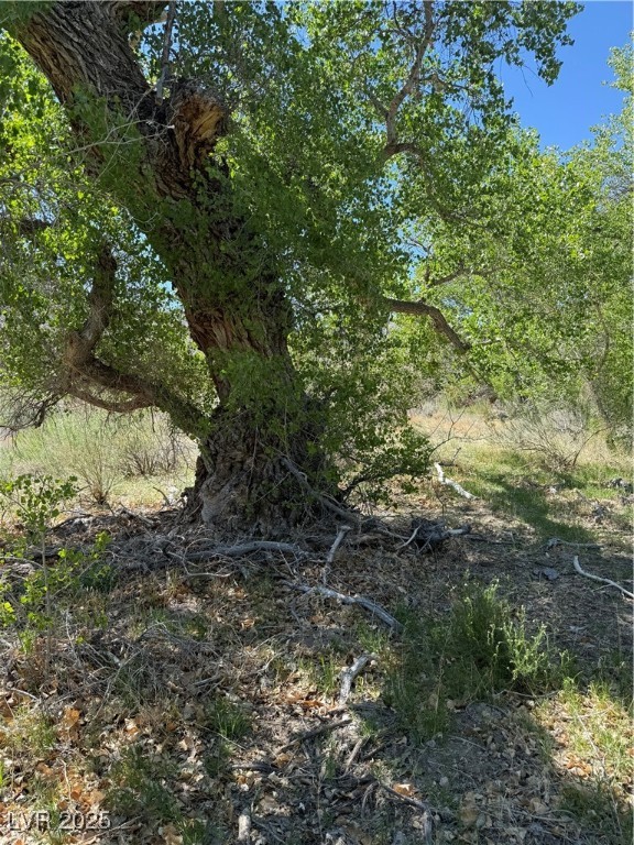 Carp Road, Caliente, Nevada image 30