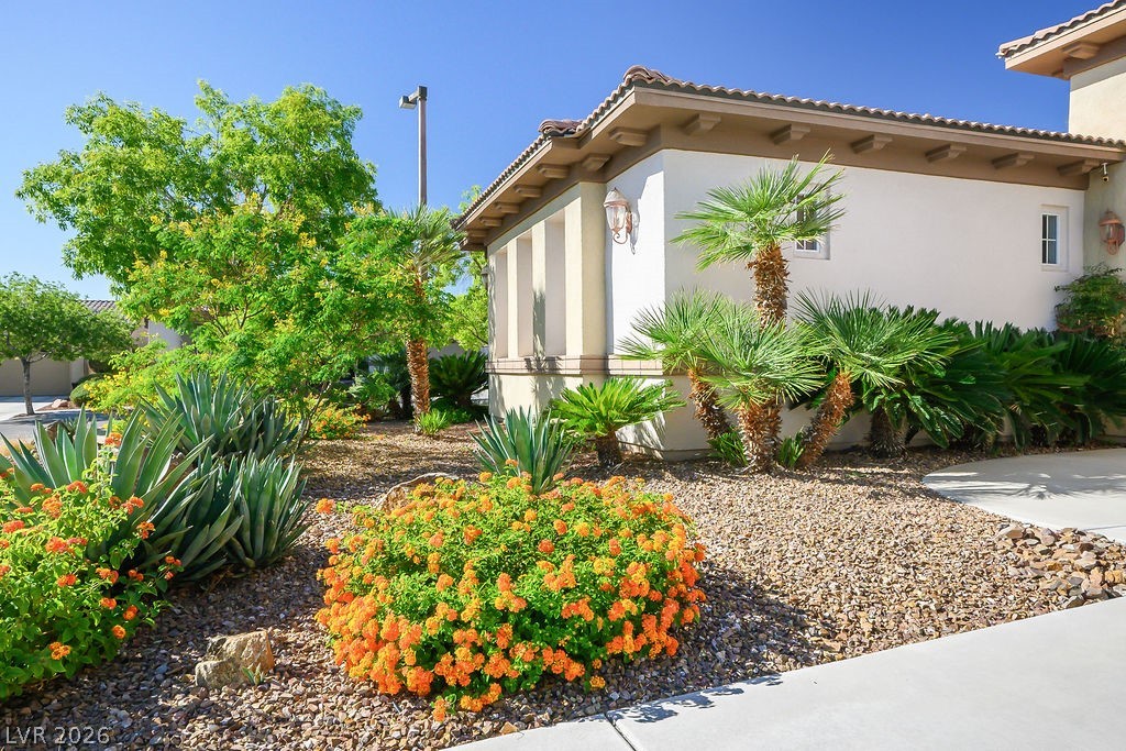 1947 Grovespring Street