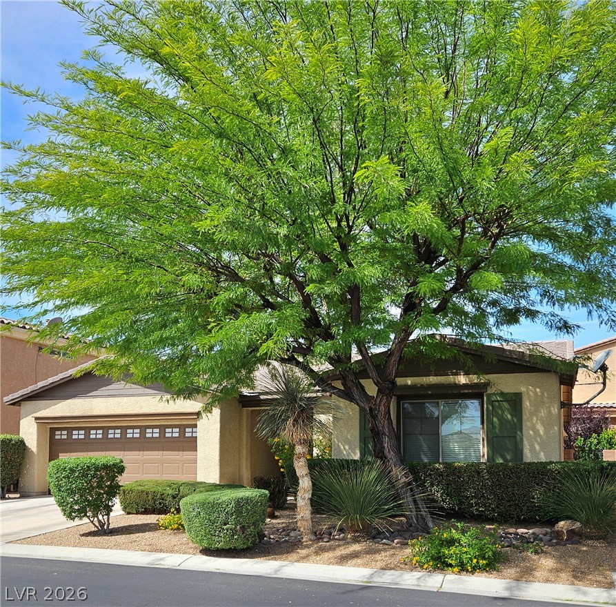 10571 Aloe Springs Street