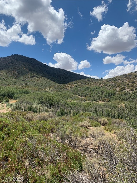 Lovell Summit Rd
