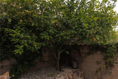 Tiny photo for 9795 Amador Ranch Avenue, Las Vegas, NV 89149 (MLS # 2768586)