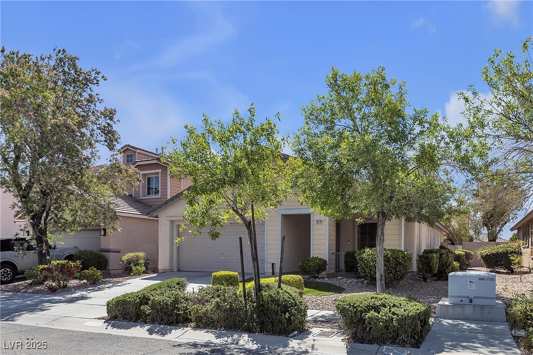10791 Silver Lace Lane