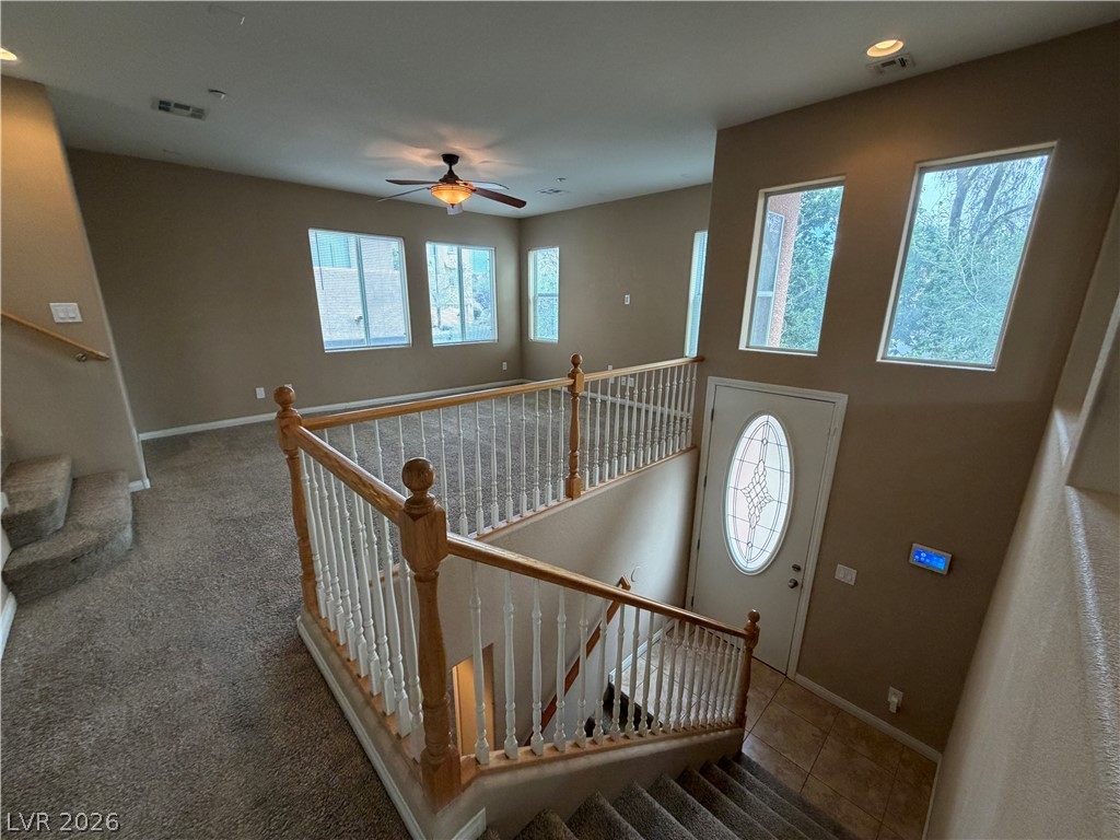 6657 Colorado Spruce Street