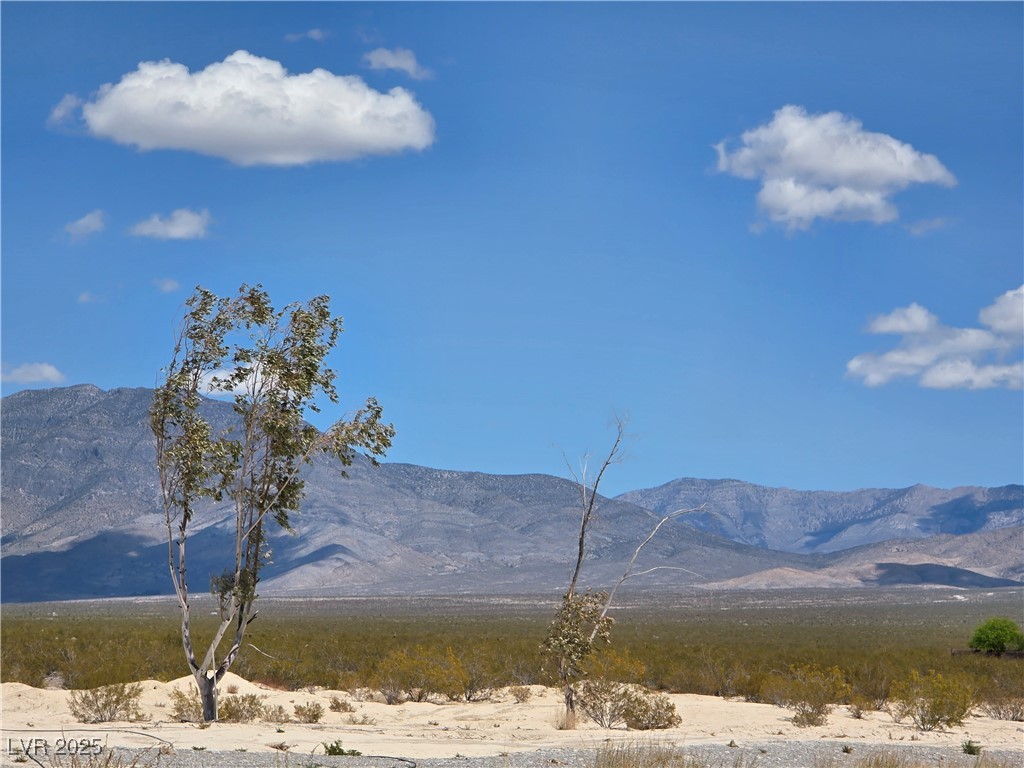 3261 Winery Road, Pahrump, Nevada image 34
