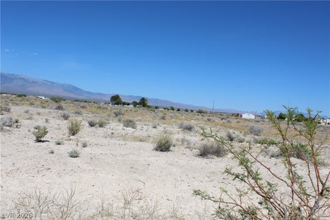 Vacant Land For Sale - 10091 S Robert Road<br/> Nye County, Pahrump, NV 89048