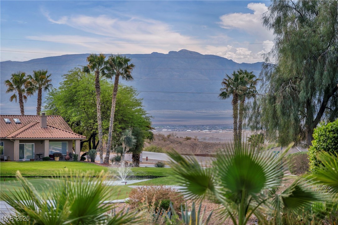 1074 Chaparral Drive, Mesquite, Nevada image 42