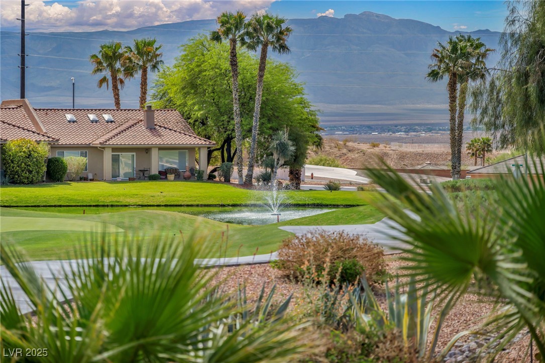 1074 Chaparral Drive, Mesquite, Nevada image 43