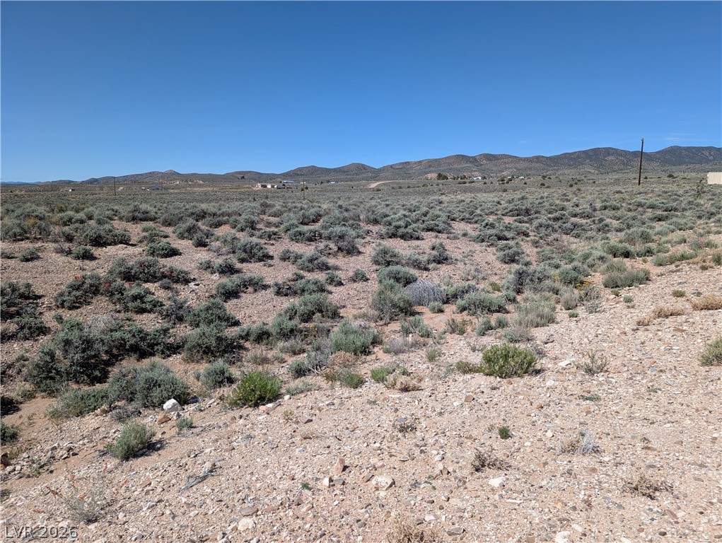 US Hwy 93 (25 Acres)