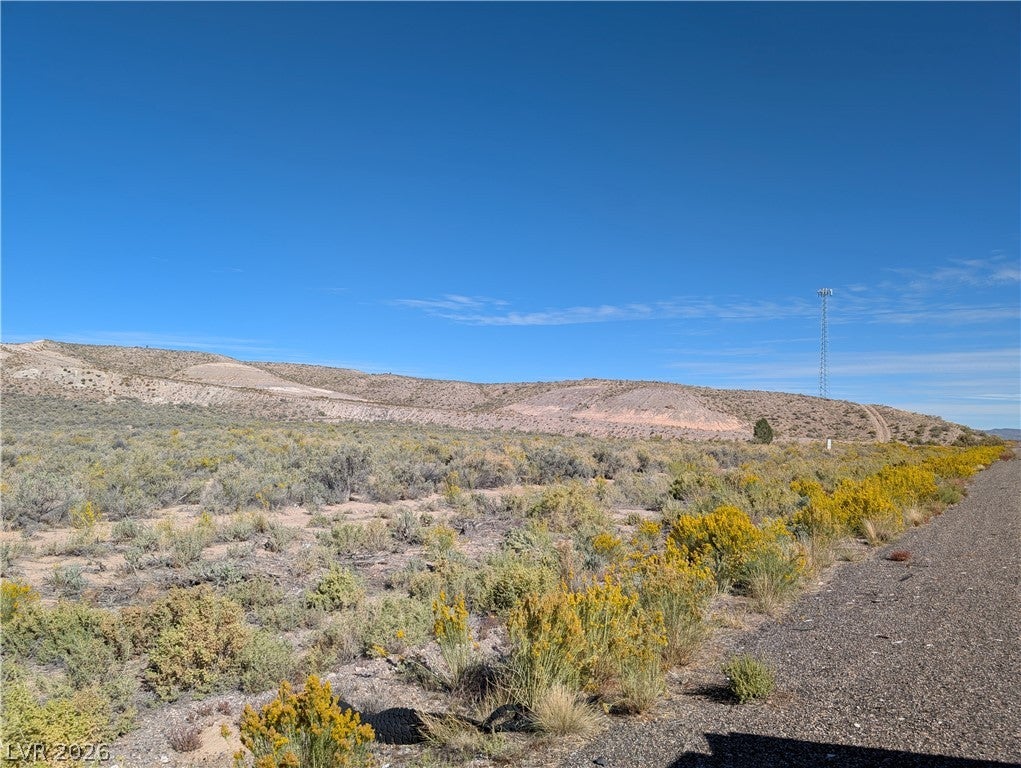 US Hwy 93 (25 Acres)