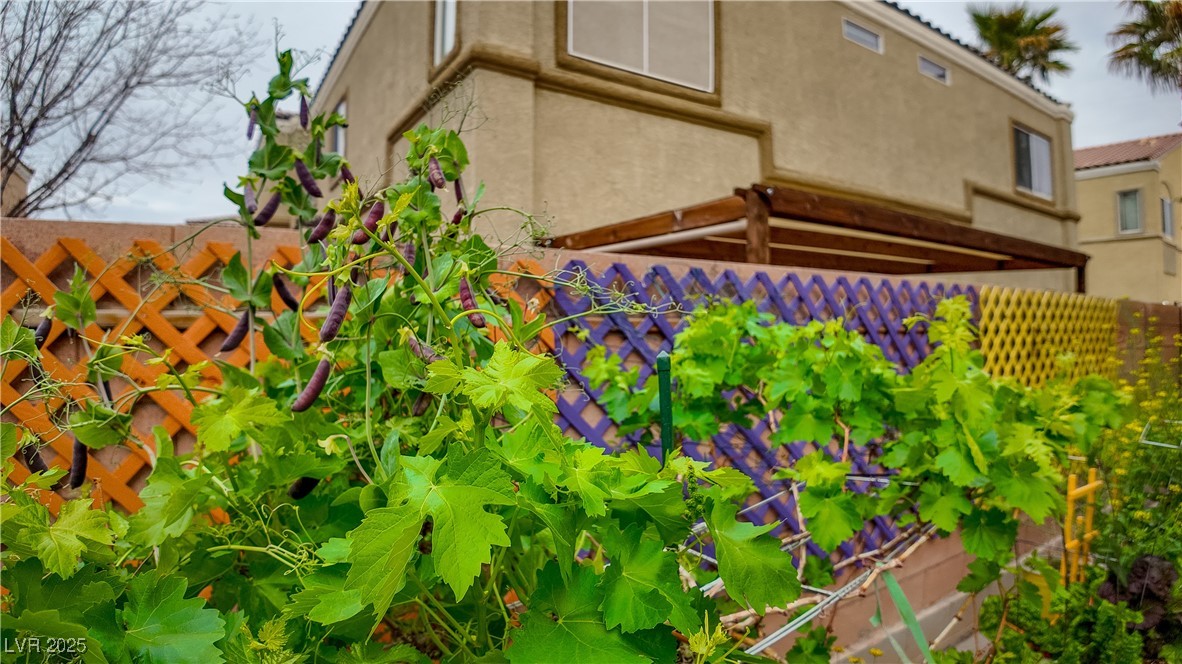 6317 Snap Ridge Street #101, North Las Vegas, Nevada image 13