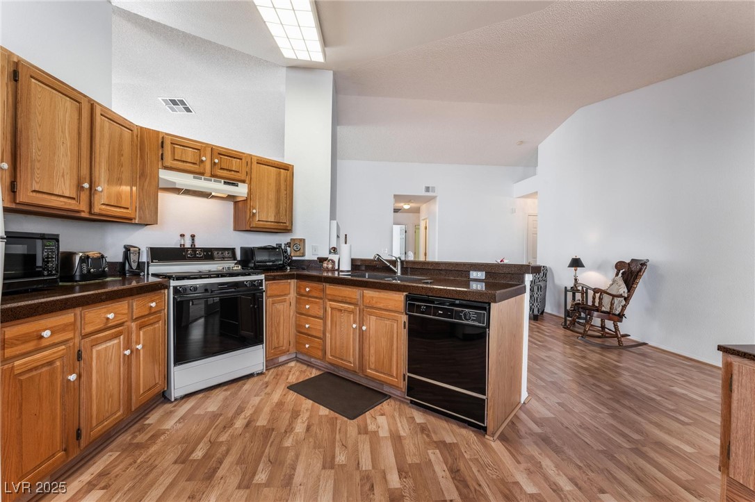 2086 Angel Falls Drive, Henderson, Nevada image 10