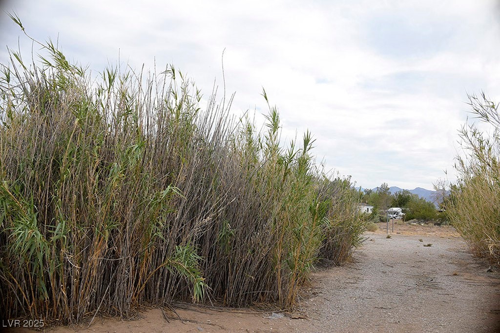 75 W Obsidian Avenue