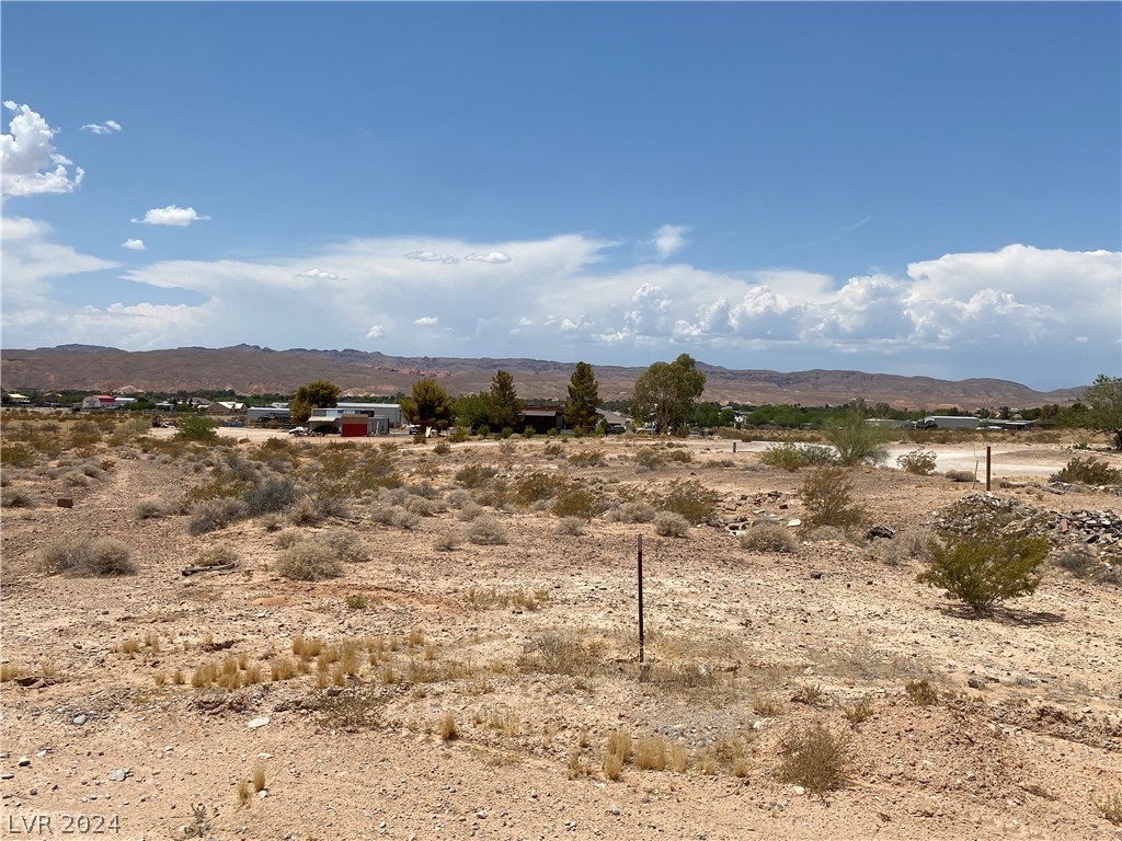 Gann, Logandale, Nevada image 4