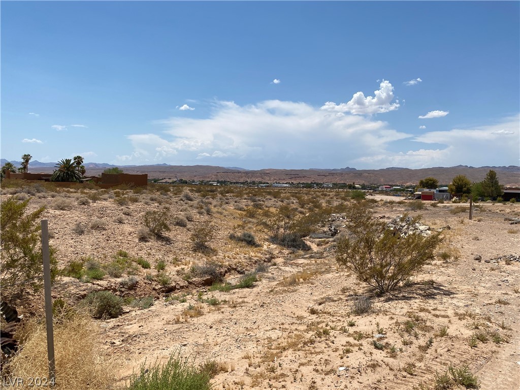 Gann, Logandale, Nevada image 2