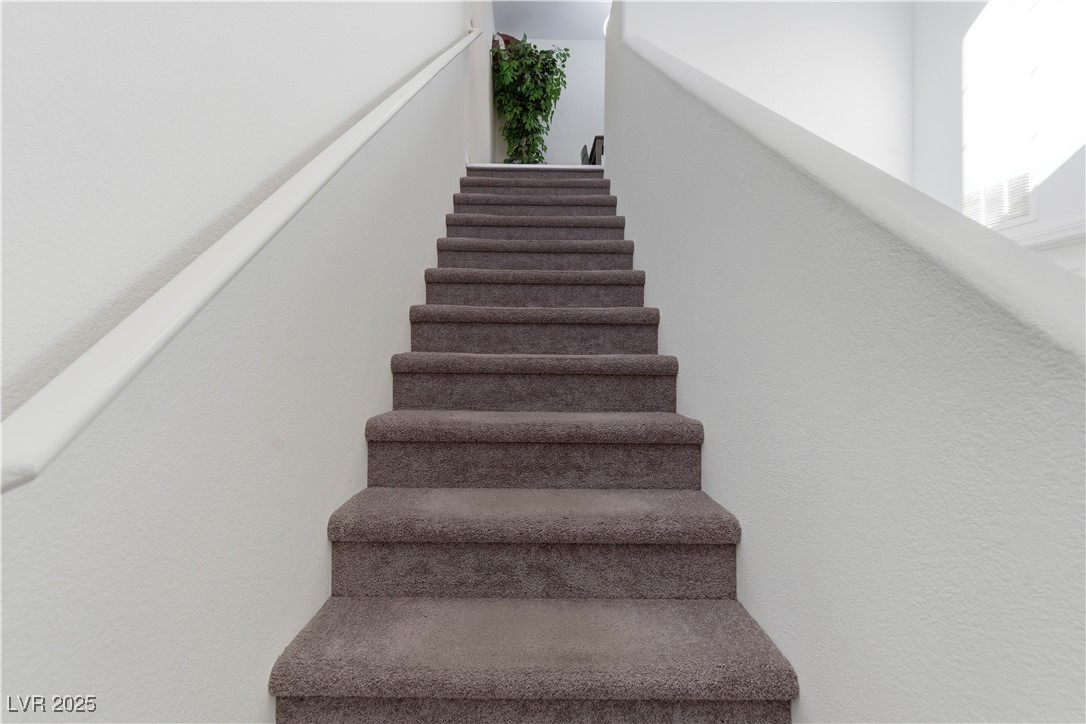 4648 Woolcomber Street