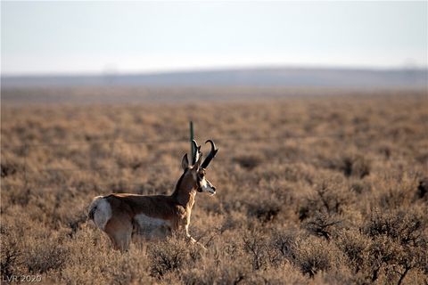 Tiny photo for Duck Creek Development Road, Ely, NV 89301 (MLS # 2220585)