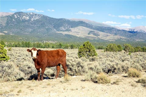 Tiny photo for Duck Creek Development Road, Ely, NV 89301 (MLS # 2220585)