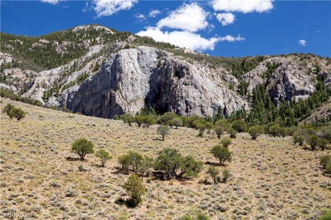 Tiny photo for Duck Creek Development Road, Ely, NV 89301 (MLS # 2220585)