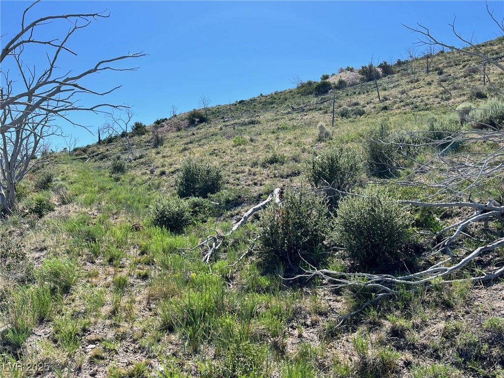 Canyon Peak