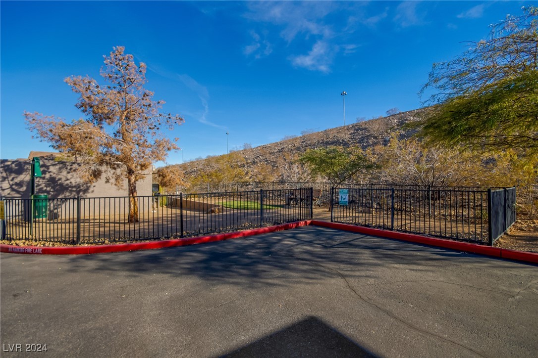 45 Maleena Mesa Street #1314, Henderson, Nevada image 38