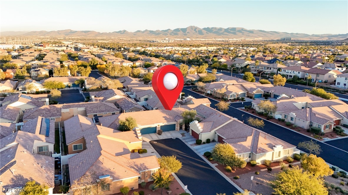 10466 Melon Cactus Street