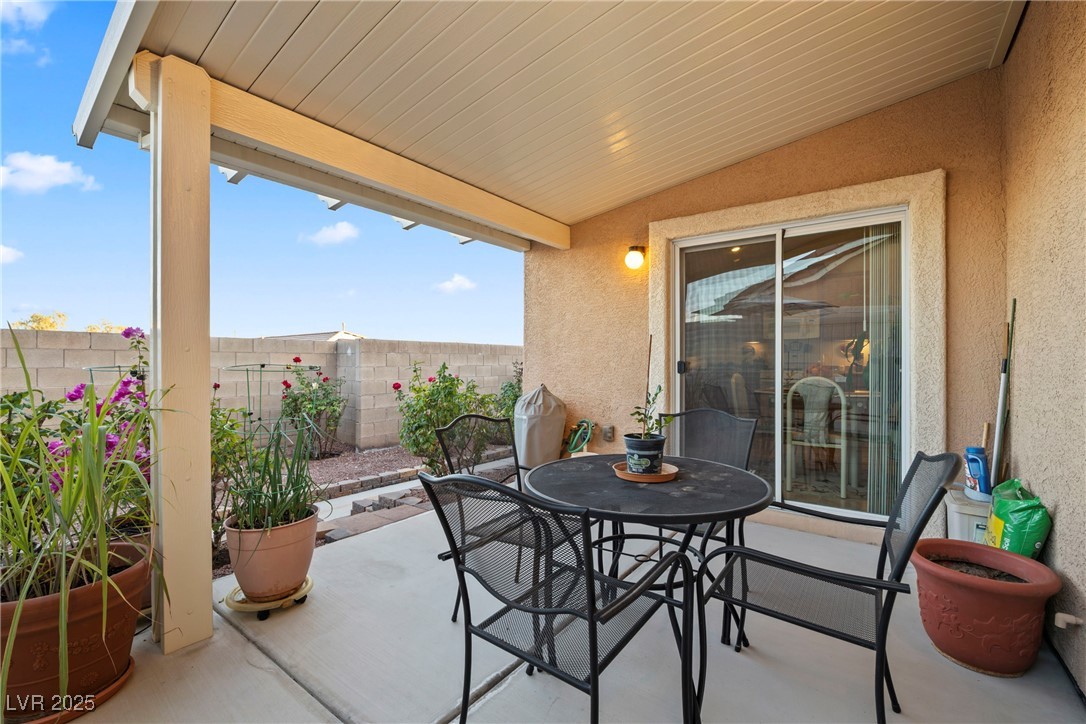 10466 Melon Cactus Street