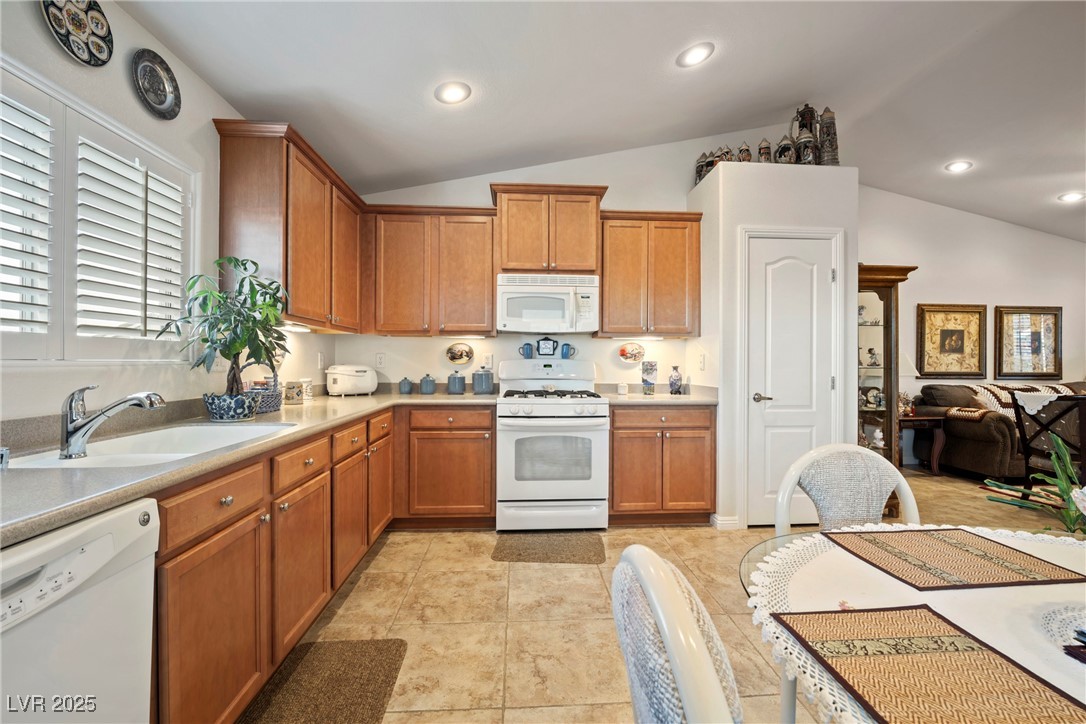 10466 Melon Cactus Street