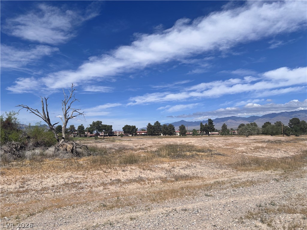 1401 S Saddle Court