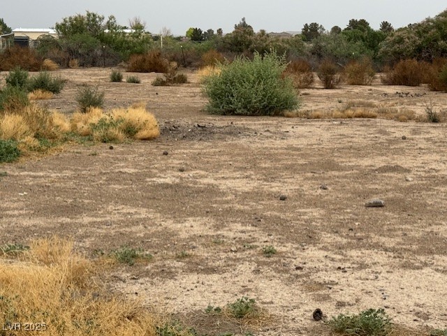 810 Catherine Avenue, Overton, Nevada image 4